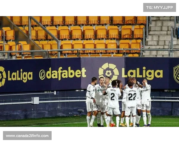 赫罗纳主场五场不败告终，米歇尔战术调整难破铁桶阵